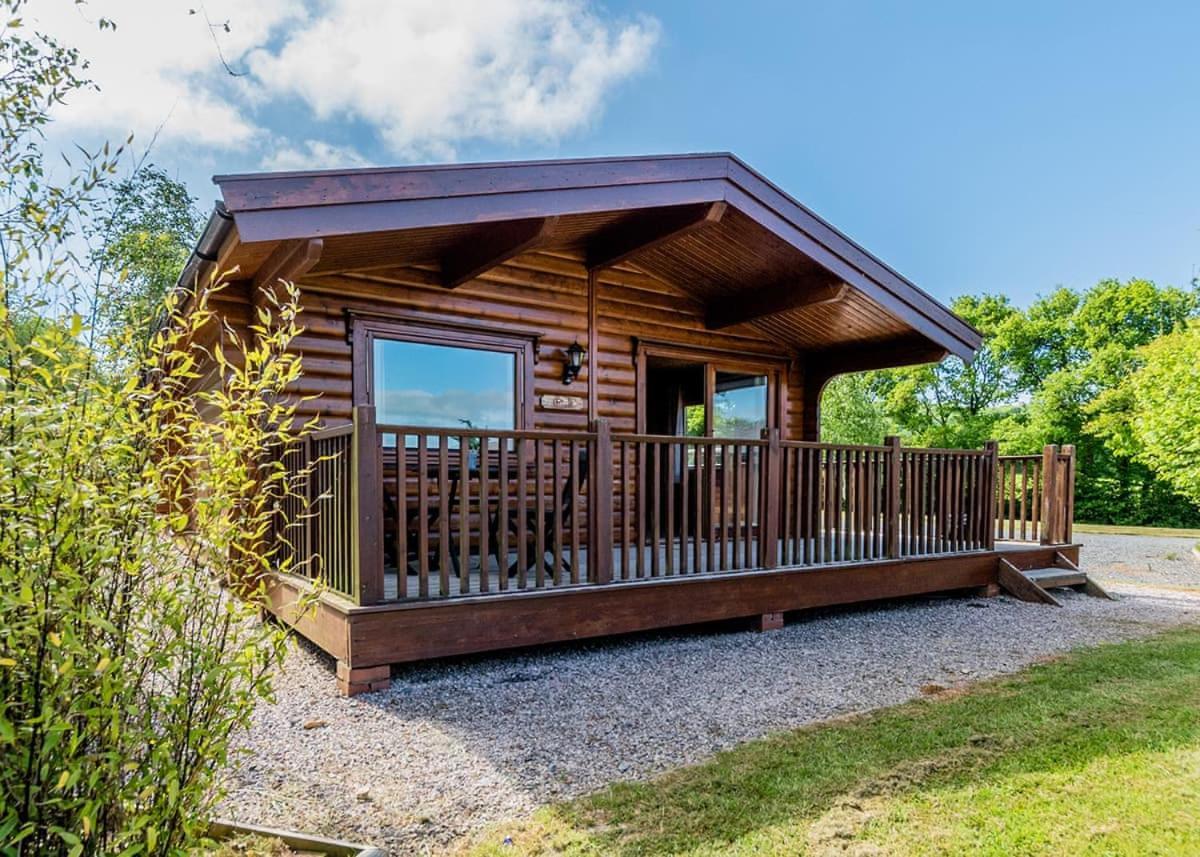 Fingle Glen Lodges Whitestone Exteriér fotografie